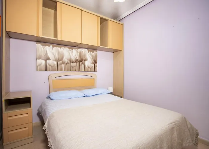 Habaneras Id151 Apartamento Torrevieja